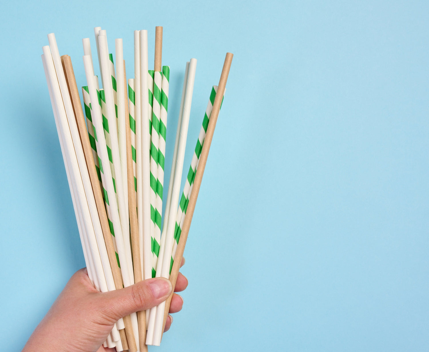 Biodegradable Paper Straws Collection