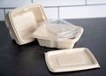 Bagasse Anti leak Rectangular Container 16oz