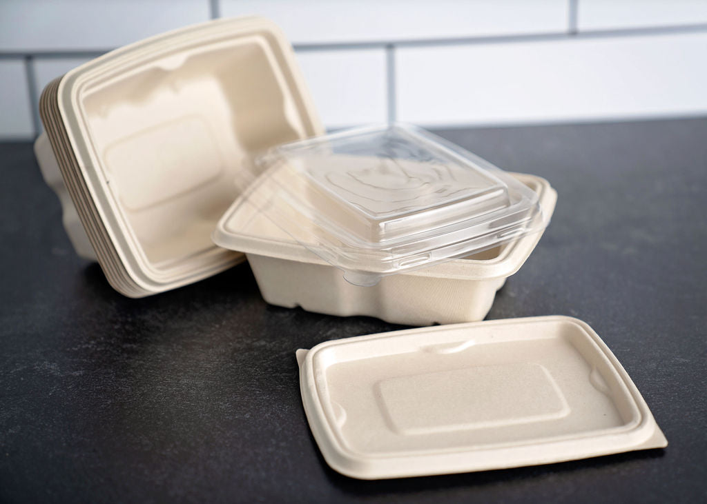 Bagasse Anti leak Rectangular Container 16oz
