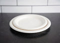 Bagasse Plate 10 Inch