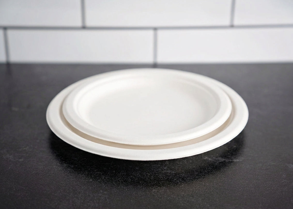 Bagasse Plate 10 Inch