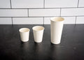 Single Wall Biodegradable Hot Cups, white . Coffee cups, juice cups, Eco Friendly