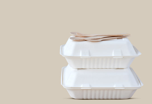 9x6  Take Out Food Containers with Clamshell Hinged Lid - 250pcs per carton.