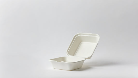 6x6 Take Out Food Containers with Clamshell Hinged Lid - 500pcs per carton